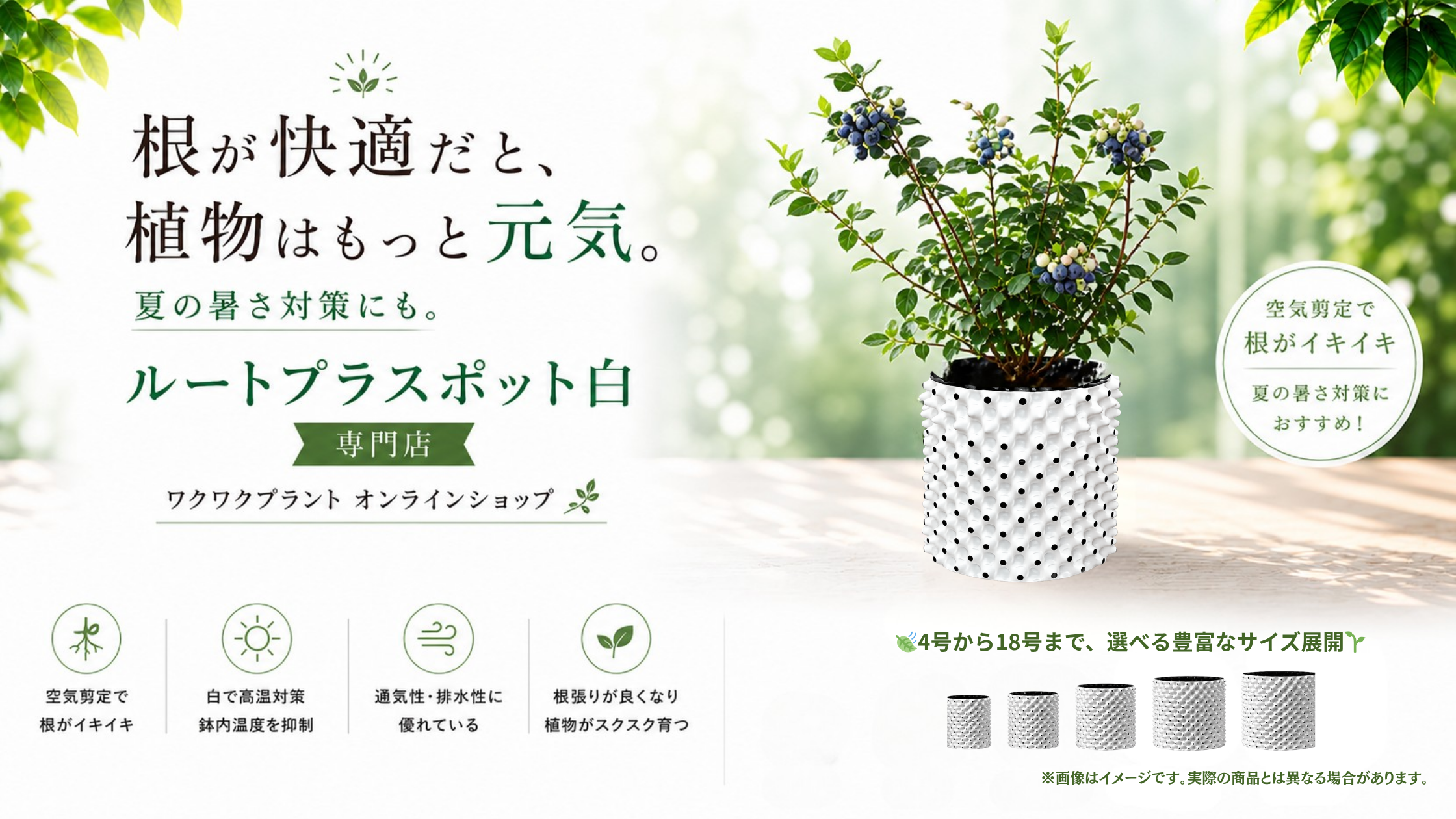 ルートプラスポットへの植栽おすすめしてます。 ルートプラスポットオンラインショップ／ワクワクプラント