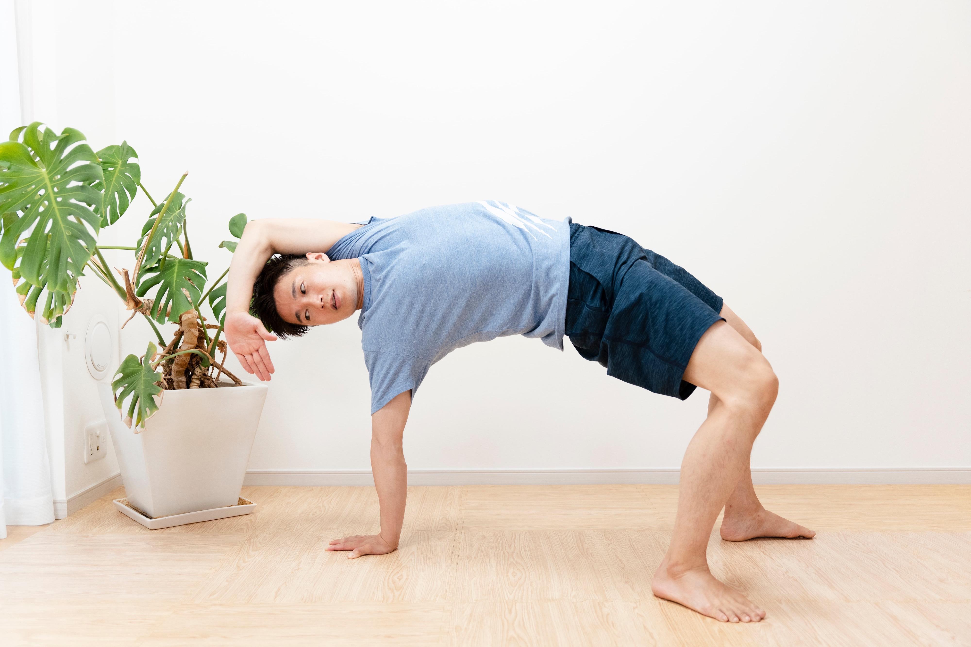 アニマルフロー講師